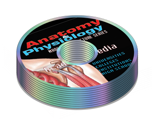 AnatoTutor-Anatomy & Physiology Audio Lecture