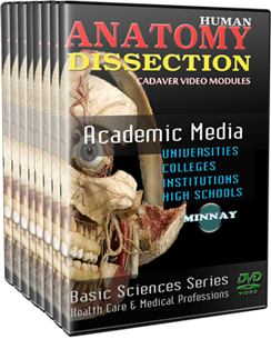 Human Anatomy Dissection