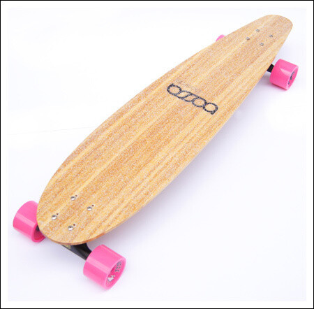 PINTAIL 38