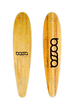 PINTAIL 38