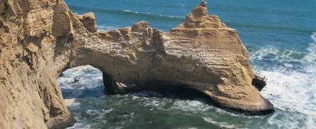 Reserva Nacional de Paracas