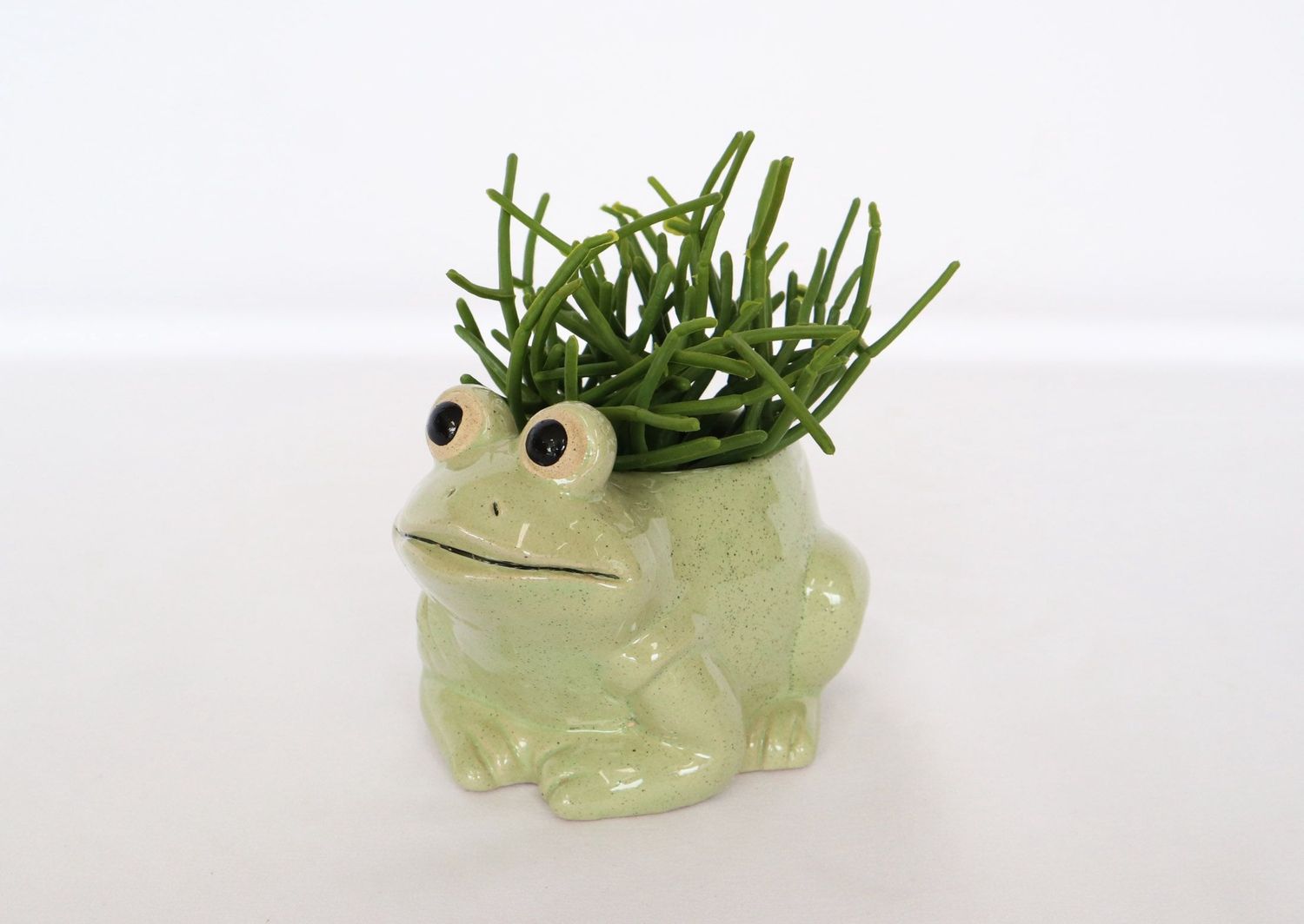 Frog Planter Light Green Sm 9cm