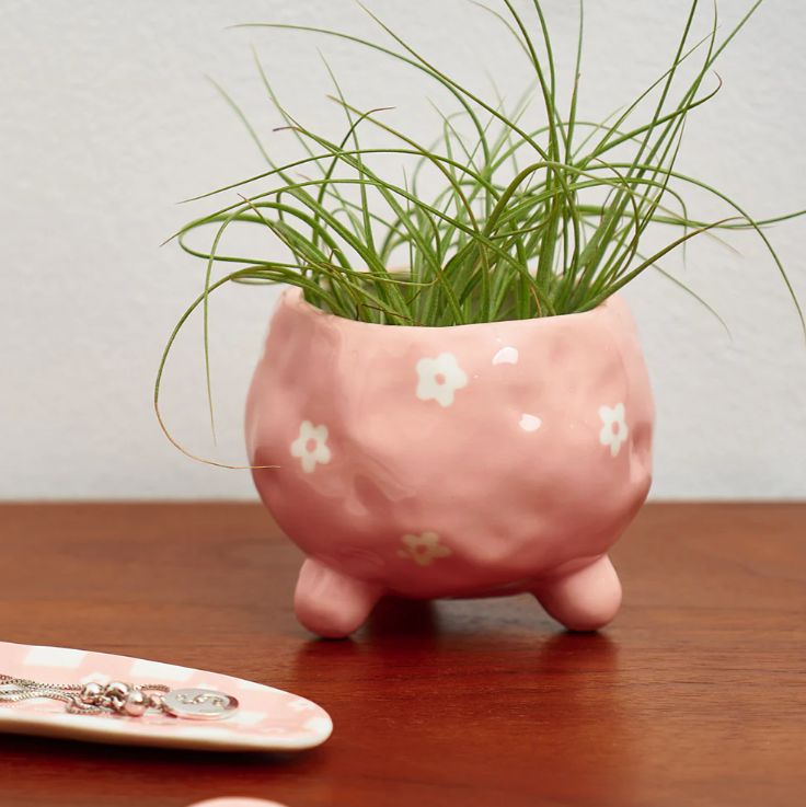 Ceramic Planter - Daisy, Colour: Pink