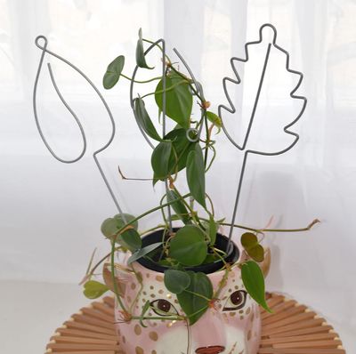 Sprout Indoor Plant Stakes - 3pc