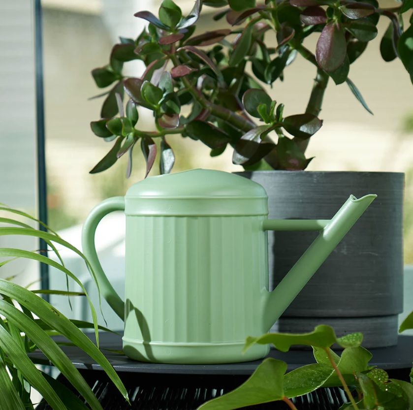 Watering Can - Sage - 2 Litre