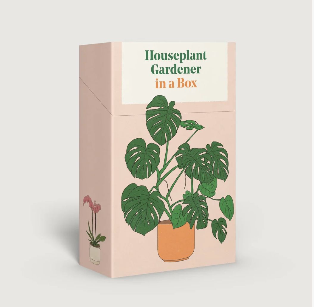 Houseplant Gardener in a Box Book