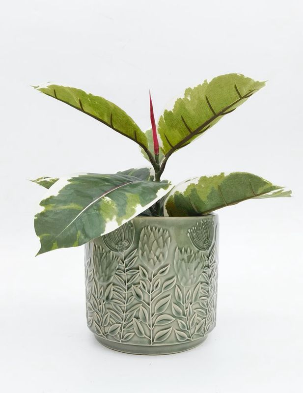 Protea Planter Sage