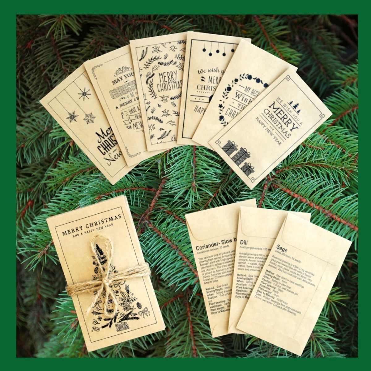 Christmas Seed Bundle - Herbs