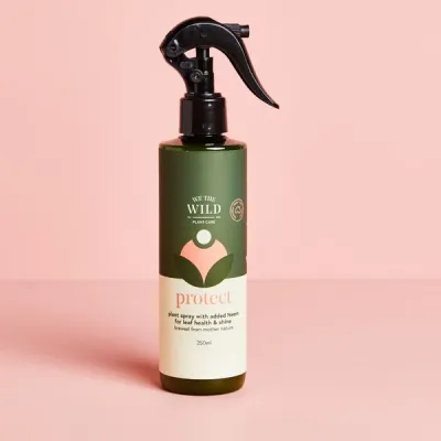 Protect Spray with Neem Spray -250ml