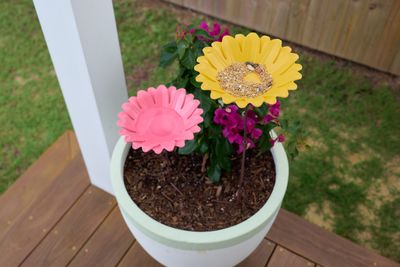 Bamboo Bird Bath - Sunflower
