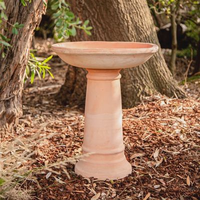 Siena Birdbath Terracotta