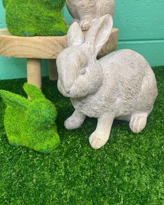 Grass Bunny