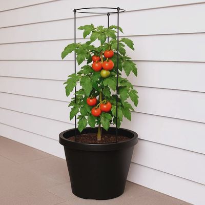 Tomato Round Pot with Trellis  - 42cm