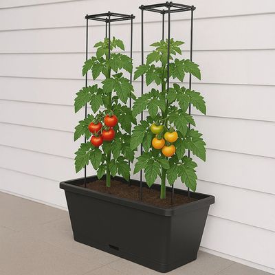 Tomato Trough Planter with Trellis - 75cm