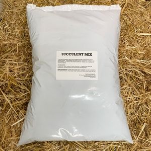 Succulent Potting Mix 20Ltr Bag