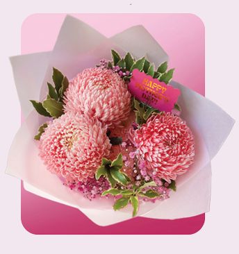 Strawberry Sunday – Disbud Bunch