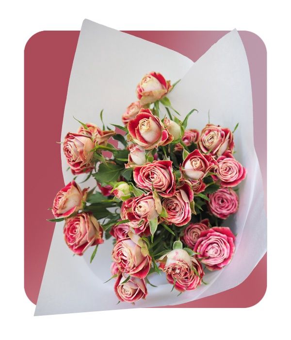 Mother’s Day - Spray Roses