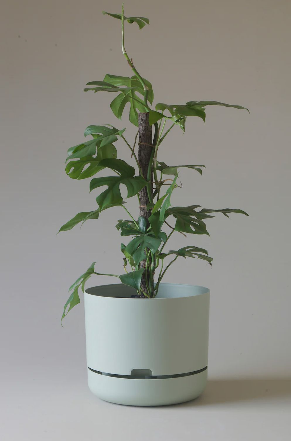 Self watering Plant Pot- Fog -300mm