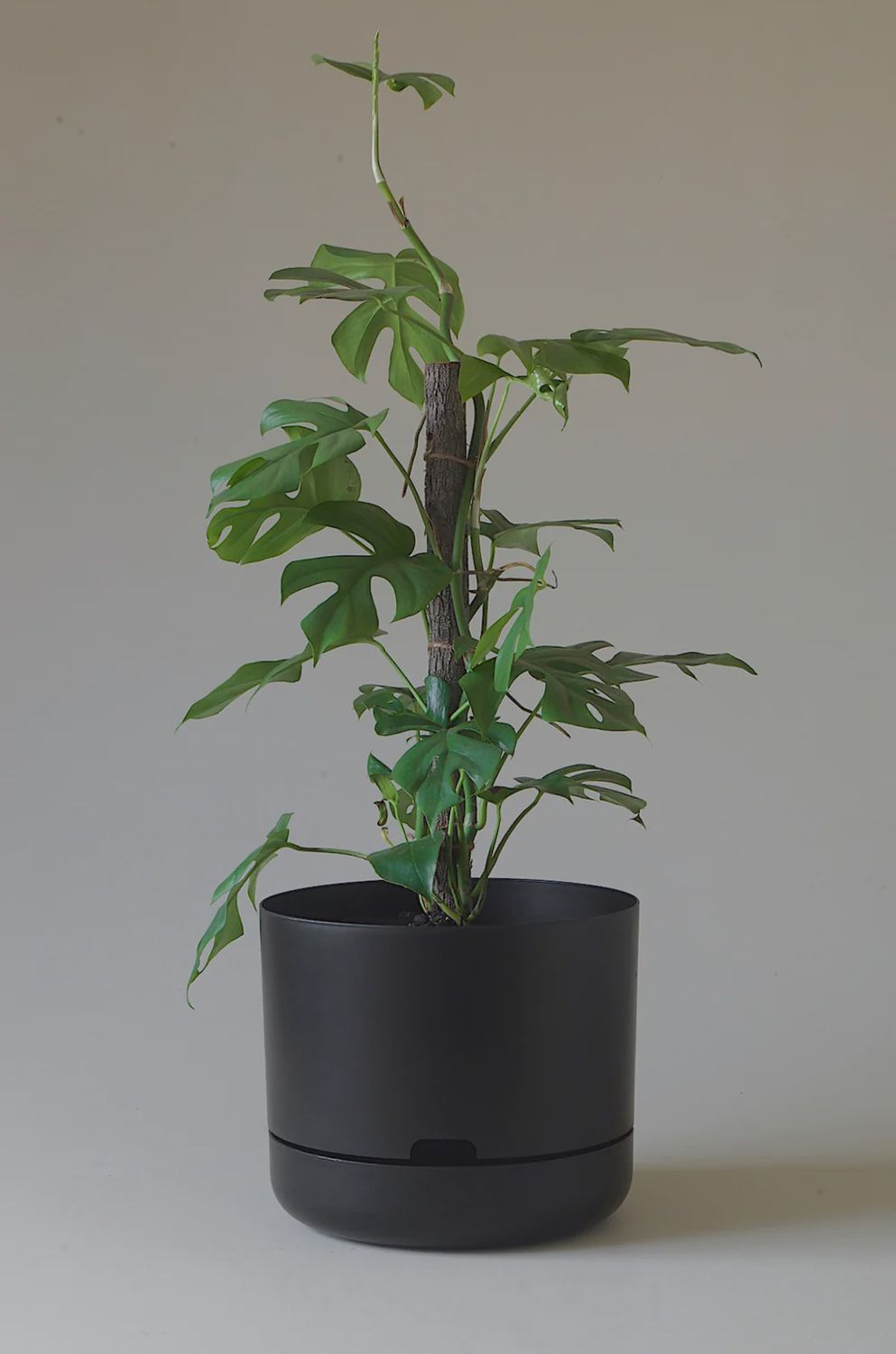 Self-watering Plant Pot- Recycled Black- 300mm