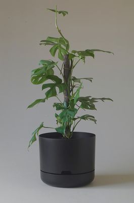 Self-watering Plant Pot- Recycled Black- 300mm