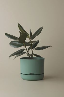 Self-Watering Plant Pots-Cabinet Green-250mm