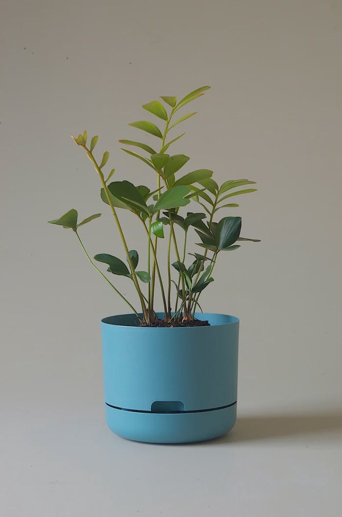 Self-Watering Plant Pots-Pond Blue-215mm