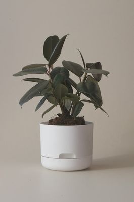 Self-Watering Plant Pots-White-170mm