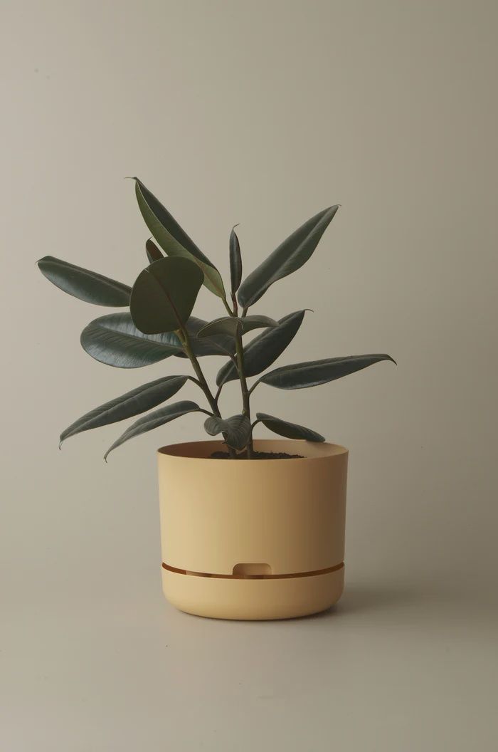 Self-Watering Plant pot- Buff- 250mm