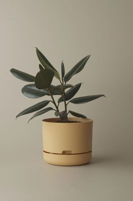 Self-Watering Plant pot- Buff- 250mm