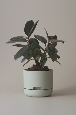 Self-Watering Plant Pots-Fog-170mm