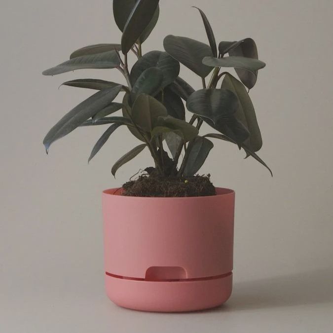 Self-Watering Plant Pot- Persimmon- 250mm