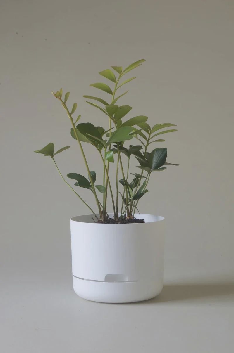 Self-Watering Plant Pots-White Linen -215mm