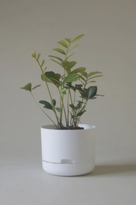 Self-Watering Plant Pots-White Linen -215mm