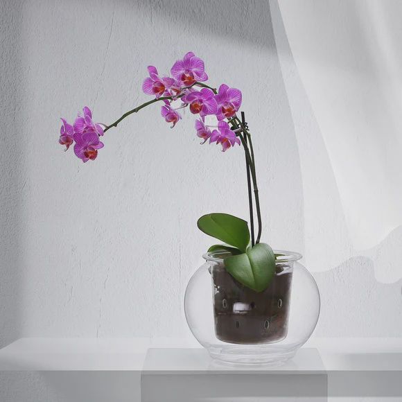 OrchidVent™ Pot - Round