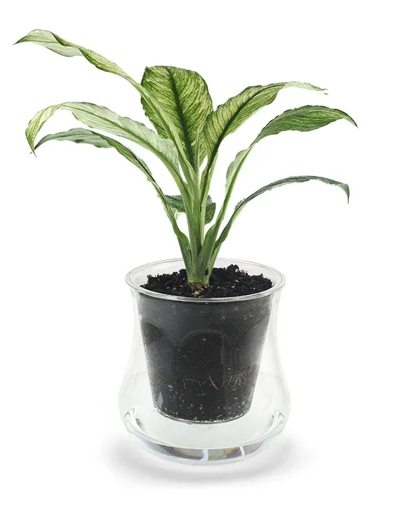 X-Large Self-Watering Planter