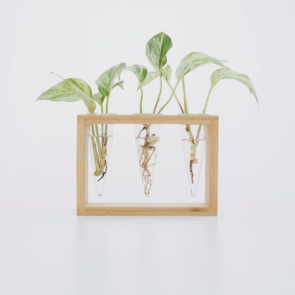 Proppi 3 Propagation Station