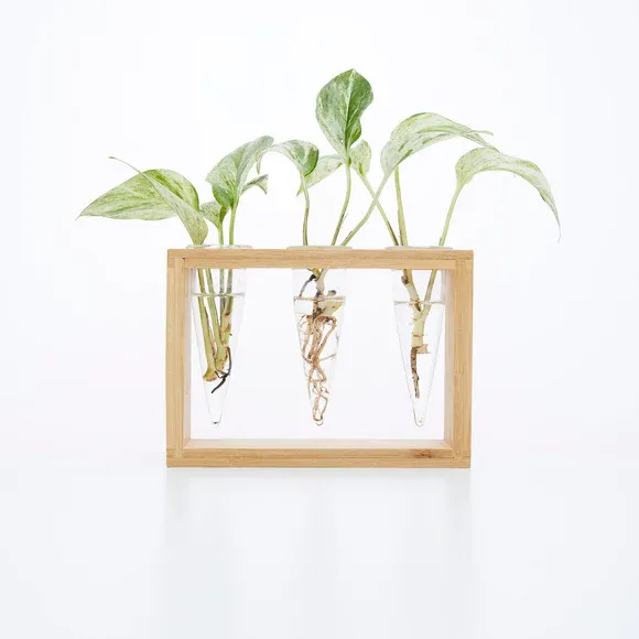 Proppi 3 Propagation Station