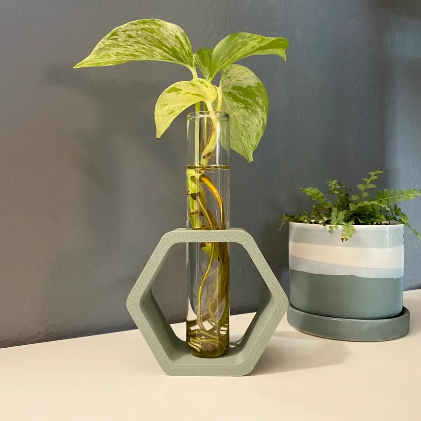 3D Printed Hex Propagation Station