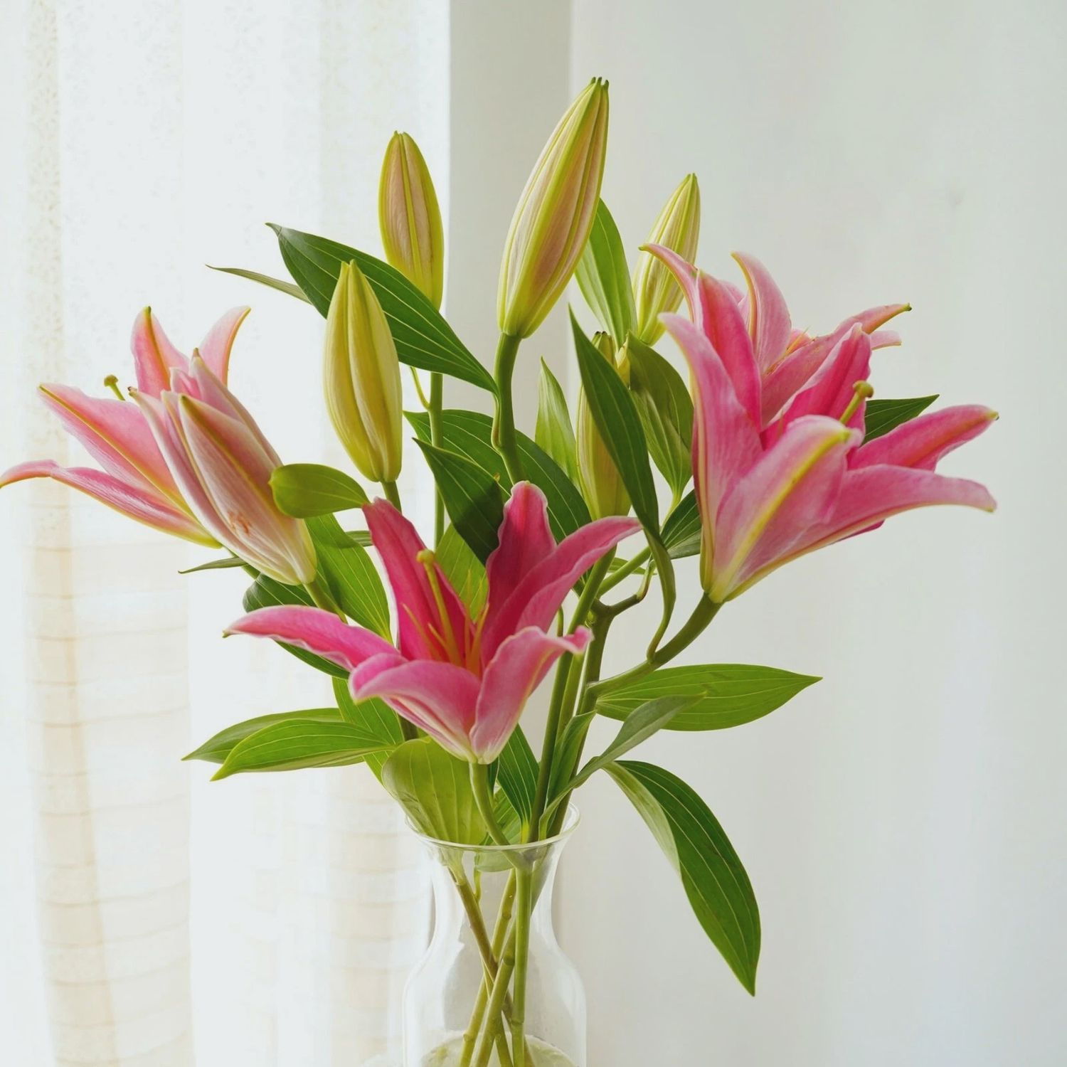 Mother’s Day - Oriental Lily Bunch