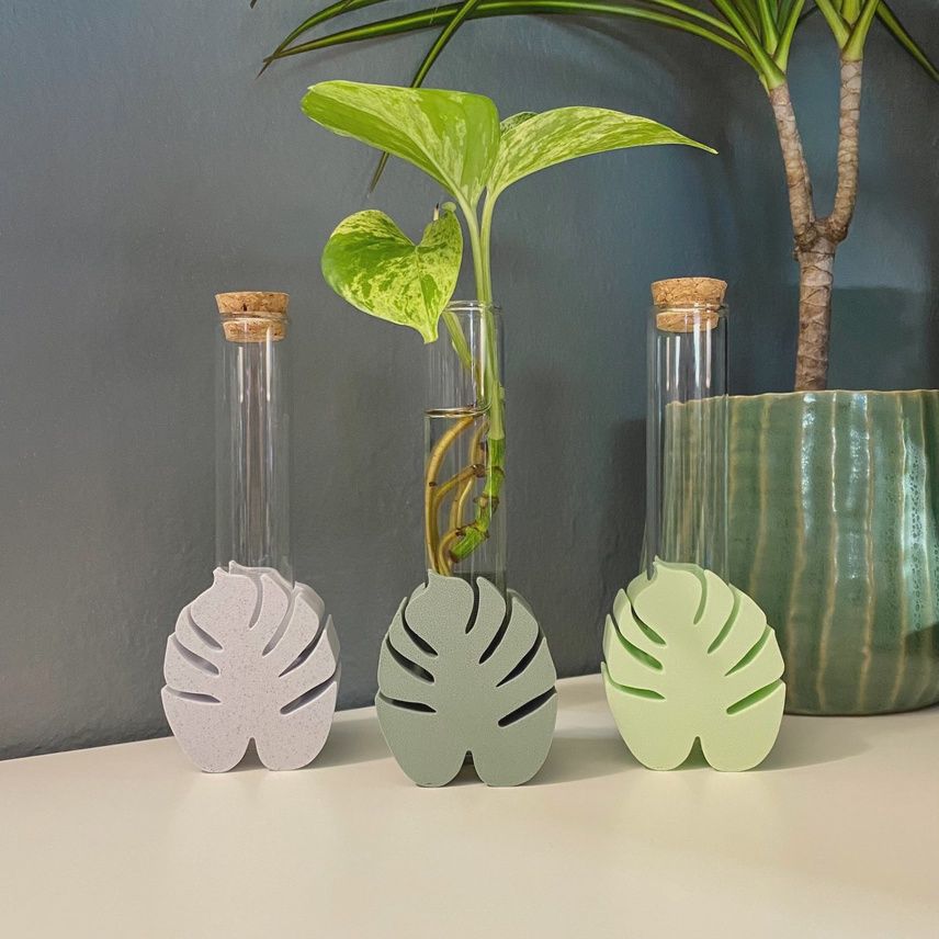 Monstera Propagation Station
