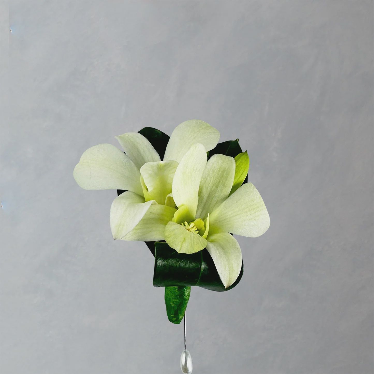Buttonhole (fresh Orchid)