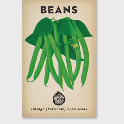 Bean 'Windsor Long Pod' Heirloom Seeds