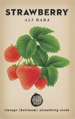 Strawberry "Ali Baba" Heirloom Seeds