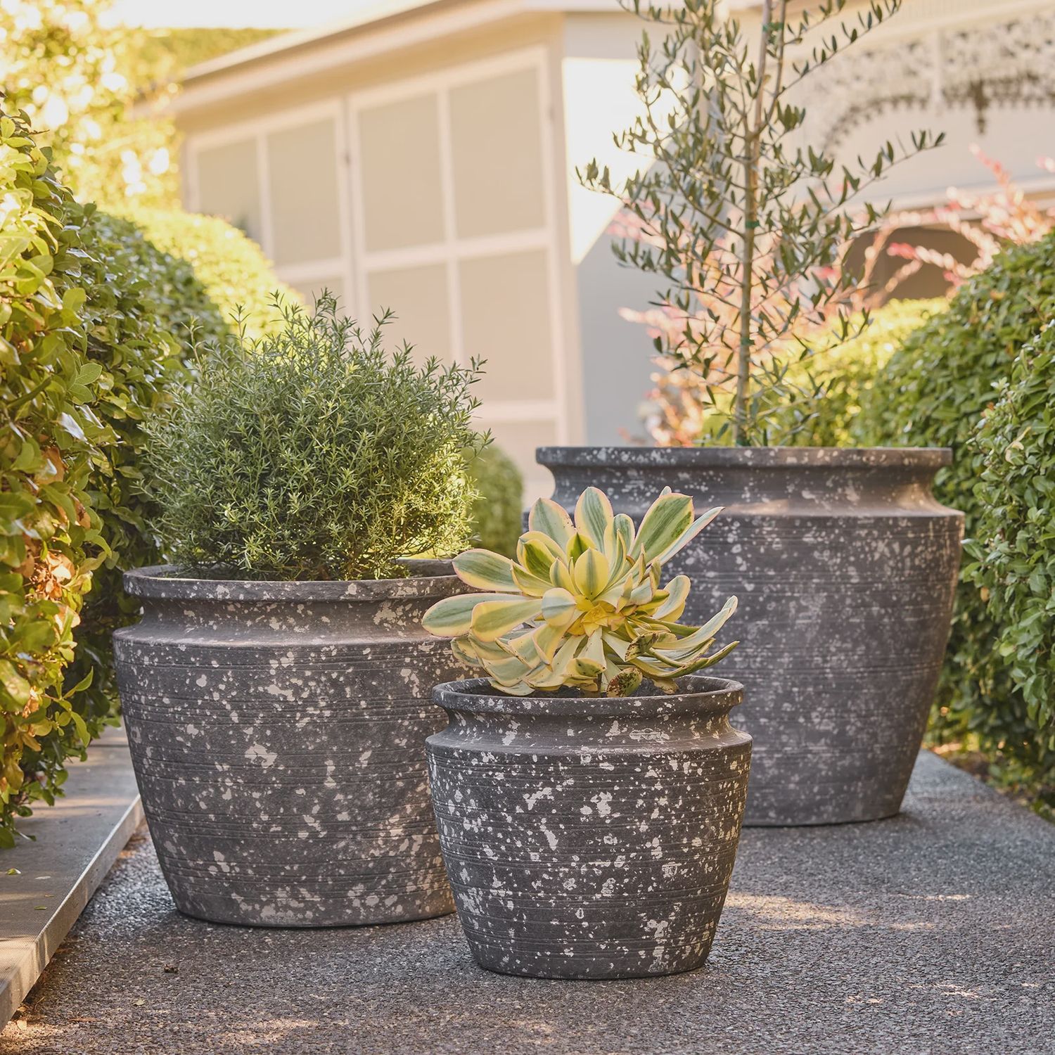 Drift Cone Pot - Small