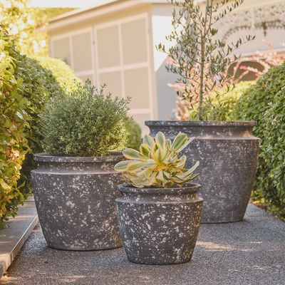 Drift Cone Pot - Medium