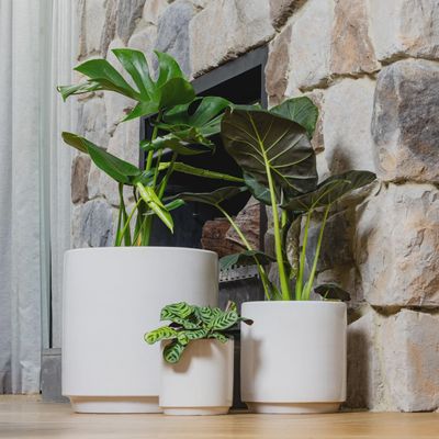 Farah Tapered Cylinder Pot - Med - White