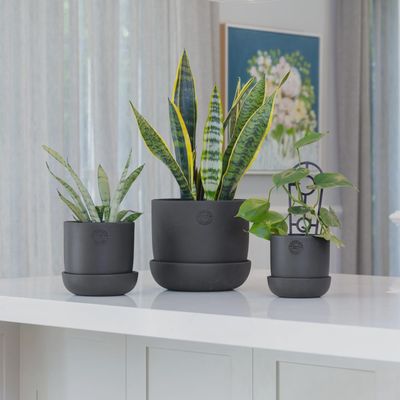 Hana Egg Pot – Charcoal - Small 14cm