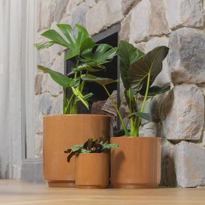 Farah Tapered Cylinder Pot - Med - Terracotta
