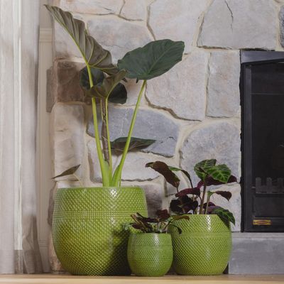 Aya Egg Pot – Small - Green