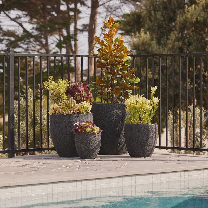 Montague Egg Pot - Dark Grey Pebble